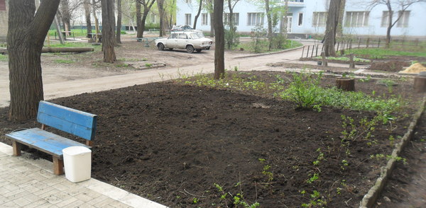 the front yard 2.JPG